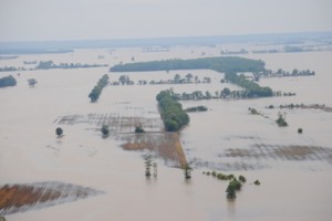 Flooded fields in Tennessee
